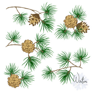 有雪松树简笔画图片