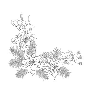 圣诞节装饰，一个由冷杉枝松树冬青槲寄生狗玫瑰制成的花环。孤立在白色背景上。草图手绘矢量图
