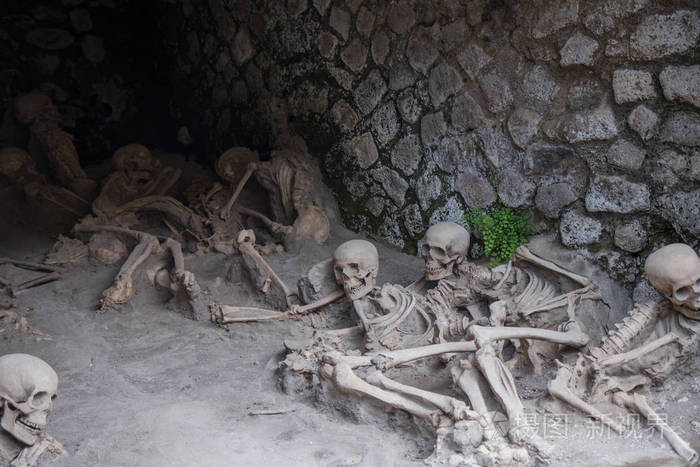 意大利赫库兰尼姆79维苏威喷发受害者的骨骼遗骸