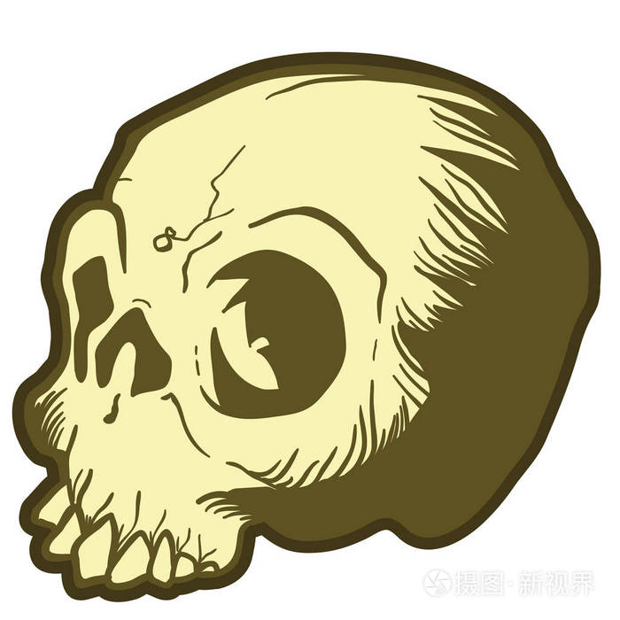 头骨卡通插图孤立在白色上