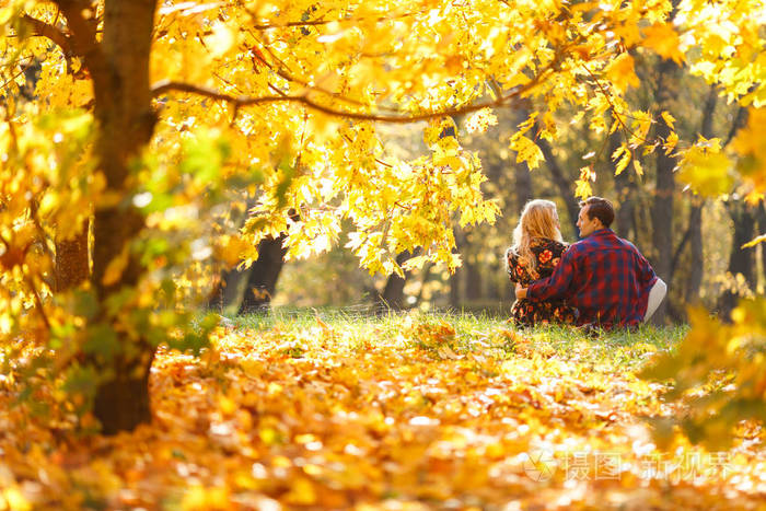 图为一对在树林里恋爱的情侣的背影