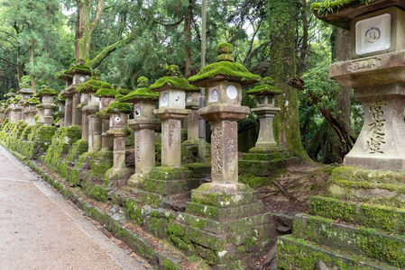 日本纳拉神社古石单片灯。