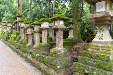 日本纳拉神社古石单片灯。