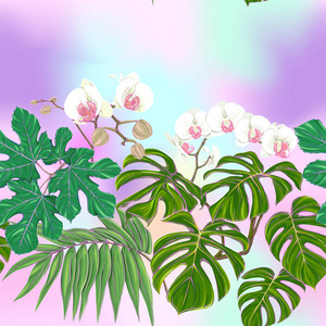 热带植物和白兰花。 无缝图案背景。 彩色矢量插图，浅紫色粉红色底色上的浅紫色彩
