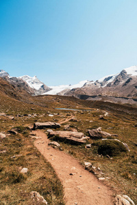 美丽的山景，在瑞士泽马特的马特霍恩峰。