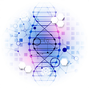 科学模板壁纸或横幅与DNA分子。 矢量图。