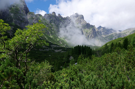 马拉斯图尔特纳多利纳徒步旅行小径在高塔特拉斯夏季旅游季节野生自然旅游小径