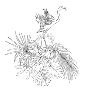 热带植物的组成，棕榈叶怪物和白色兰花与火烈鸟在植物学风格轮廓手绘矢量插图。 孤立在白色背景上。