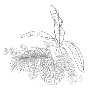 一种热带植物组成，棕榈叶怪物和白色兰花的植物学风格。 轮廓手绘矢量插图。 孤立在白色背景上。