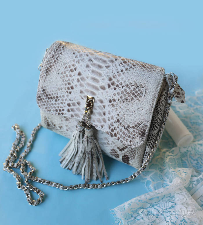 时尚女性蟒蛇皮袋蓝色背景