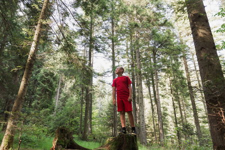 快乐的男孩站在森林的一根存根上
