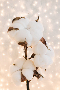 一大片棉花在明亮的圣诞灯光背景上照片