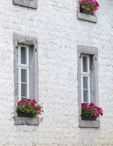 白色的墙和窗户上的花图片