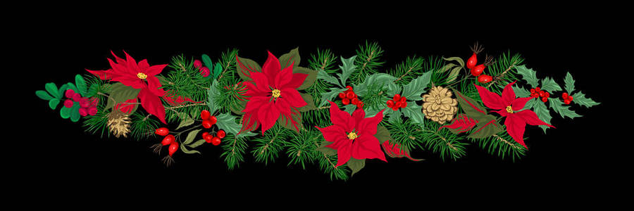 圣诞节装饰一个花圈，由冷杉枝制成，松，冬青，槲寄生，狗玫瑰。 孤立在黑色背景上。 彩色矢量插图