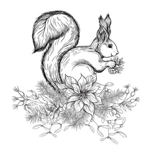 松鼠坐在圣诞花环上吃松果。 图形绘图雕刻风格。 矢量图。