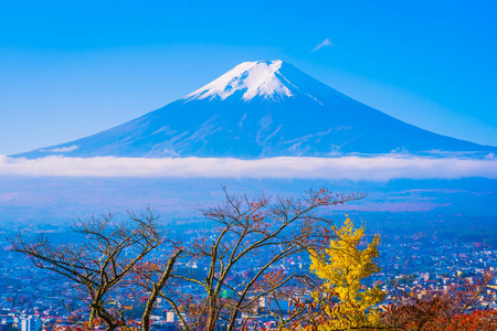 日本大林秋季枫叶树四周美丽的富士山景观，白云蓝天