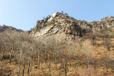 北方的山光秃秃图片