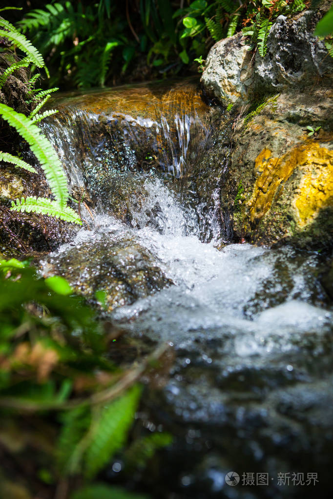 小溪流在泰国的花园里流淌