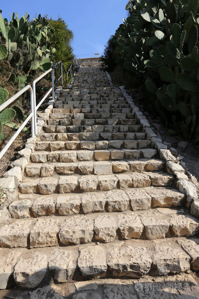 旧城市公园的楼梯