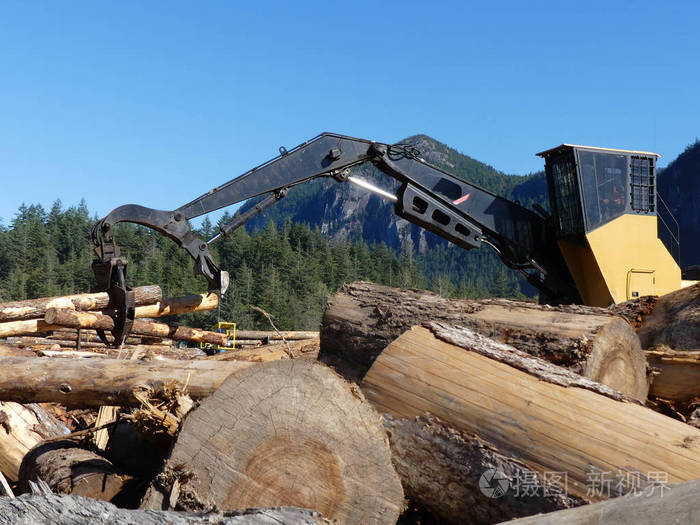 木材装载机提升移动原木