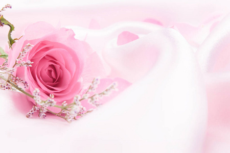温柔甜美的玫瑰花爱情浪漫背景