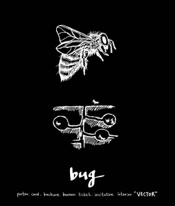 昆虫插图手绘昆虫草图