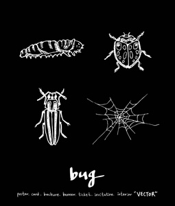 昆虫插图手绘昆虫草图