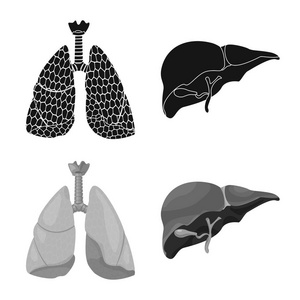 物体和人体图标的孤立对象。收集身体和医学矢量图标的股票