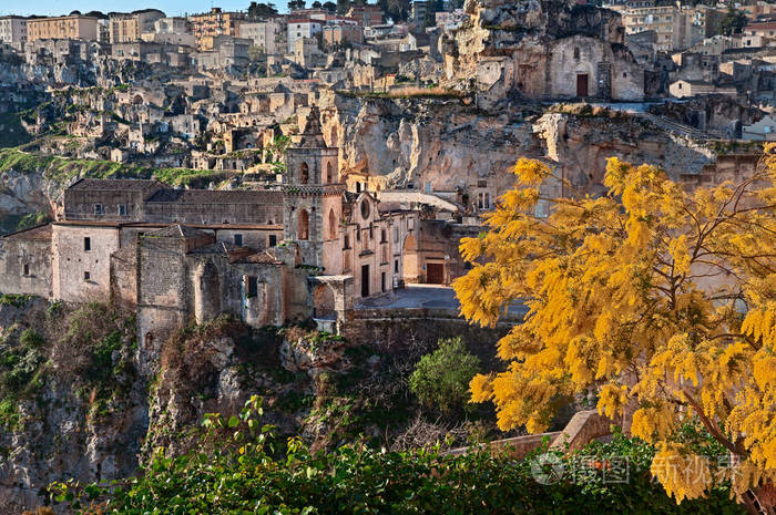 意大利圣母院老城日出时的景观，有圣徒彼得和保罗的教堂也称为圣皮特罗洞穴和前景中的含羞草树
