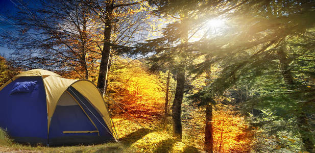 帐篷在秋天的森林里，杉树的背景和明亮的秋日。 非常美丽的风景如画的地方。