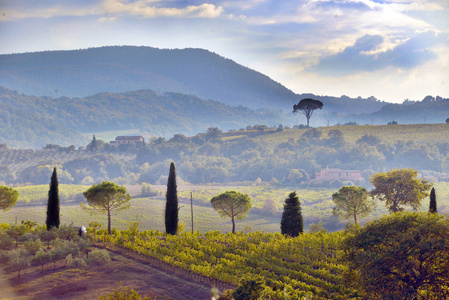  sunset over rolling hills and Tuscany farmland