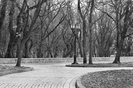 秋天公园。 黑白照片