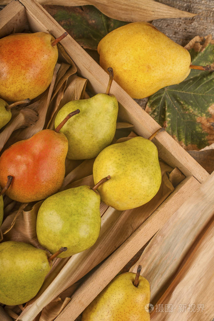 有机梨在当地果园中饲养的秋果健康食品的概念