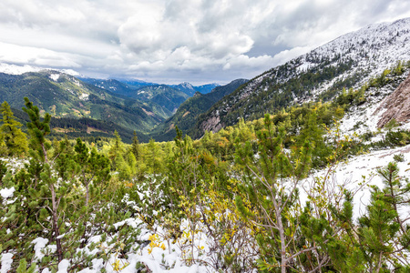 雪覆盖斯托尔齐奇山脉森林美景，斯洛文尼亚旅游目的地欧洲