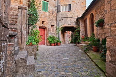 意大利托斯卡纳，格罗斯托，索拉诺风景如画的狭窄小巷，地下通道，中世纪村庄的古老房屋植物和鲜花