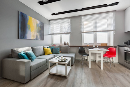 灰色现代工作室公寓，带大沙发和开放式厨房