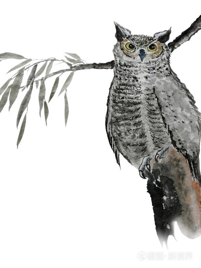 水彩有一只漂亮的猫头鹰在树枝的背景上有叶子插图是用传统的中国风格