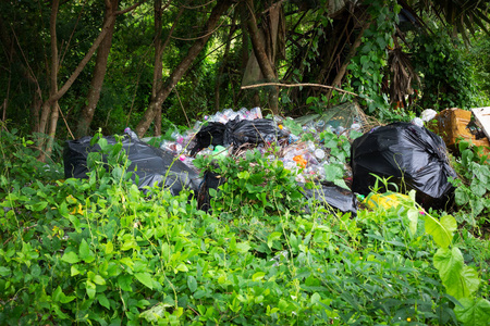森林中废弃的塑料是自然灾害
