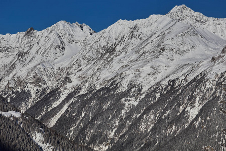 山中雪