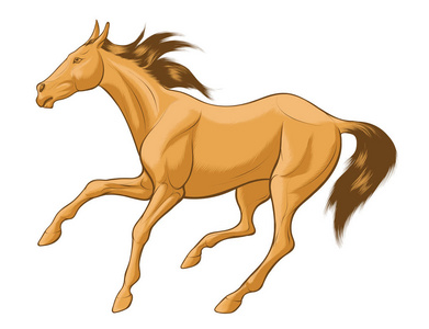 米色马的快速素描，棕色鬃毛自由舞动。 马术农场矢量剪辑艺术和设计元素。 农业动物的标志。