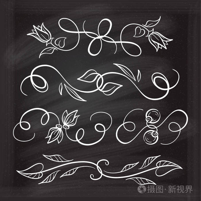 插画 一套优雅的花卉元素,为您的设计在黑板上.eps
