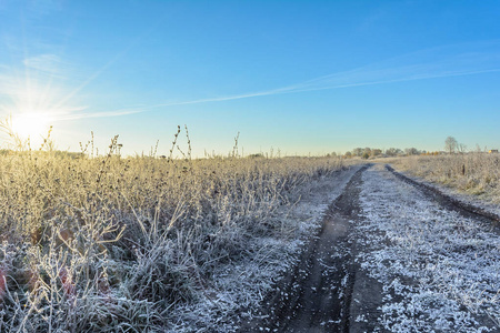 霜在田野上霜在植物上霜在草地上霜在树叶上霜在草地上霜在树上霜在路上霜在霜