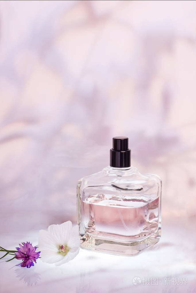 香水瓶与植物在浅粉色花卉背景选择性对焦香水收藏化妆品