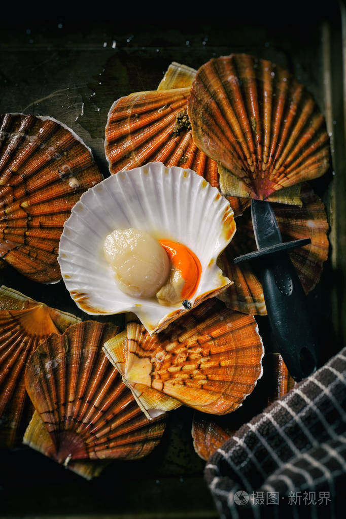 新鲜扇贝的背景是一个开放的珍珠壳和整个贝壳的母亲仍然生活在低键