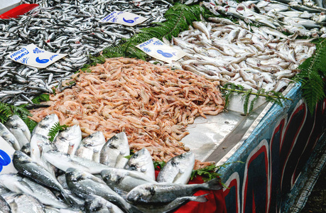 土耳其农贸市场。 各种新鲜鱼和虾，柜台上有价格