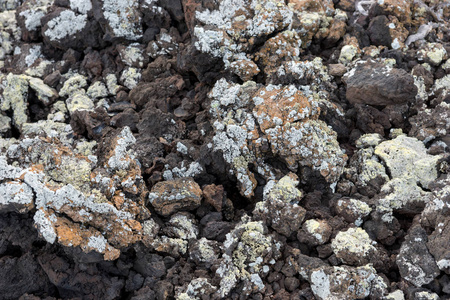 蒂曼法亚国家公园有地衣的熔岩石。 加那利群岛