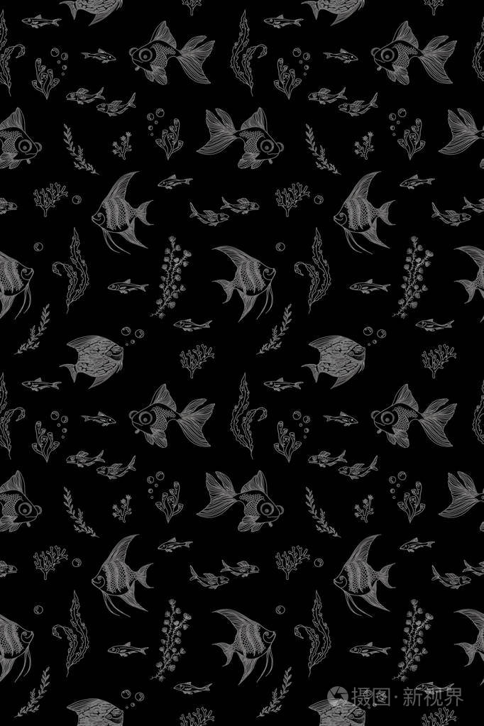 图案与水族馆鱼珊瑚和藻类的图像在彩色背景上