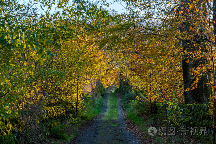 一条苏格兰乡村道路，有明亮的秋树。