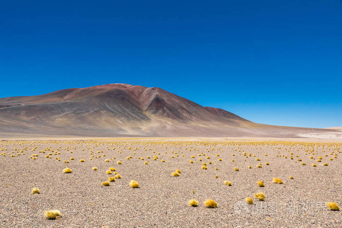 阿塔卡马沙漠智利萨拉阿瓜斯卡伦特斯图亚克托湖南美洲