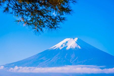 日本大林秋季枫叶树四周美丽的富士山景观，白云蓝天